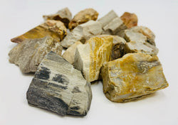 Petrified Wood Rough Natural Crystals by the pound - ZenMeGifts