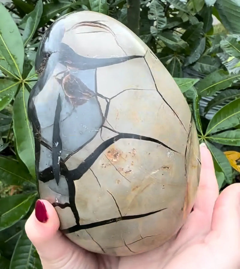 Septarian Egg Druzy ZenMeGifts